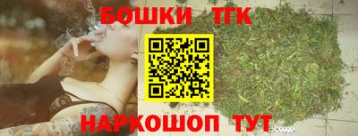 молекула духа Партизанск